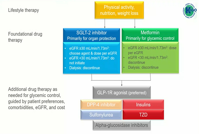 Figure 8 : stratégie de prise en charge du diabetique de type 2 proposée par la KDIGO Association (Kidney Disease International Global Outcome)