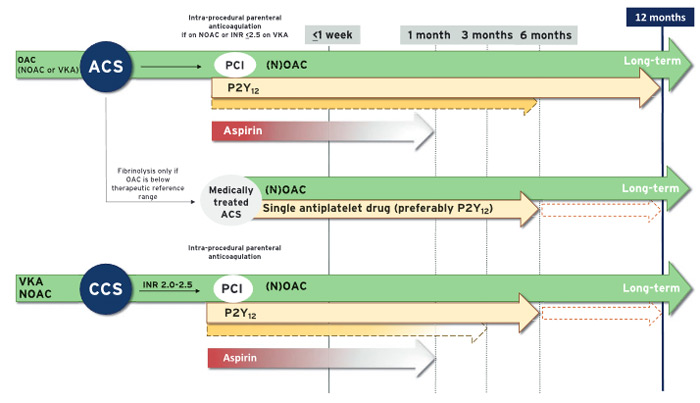 Figure 1. Stratégie anticoagulante et anti-aggrégante chez un patient en FA après une angioplastie (ESC 2021)