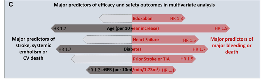 FA infraclinique et anticoagulation – impact des comorbidités l’étude NOAH-AFNET 6 - Figure 2