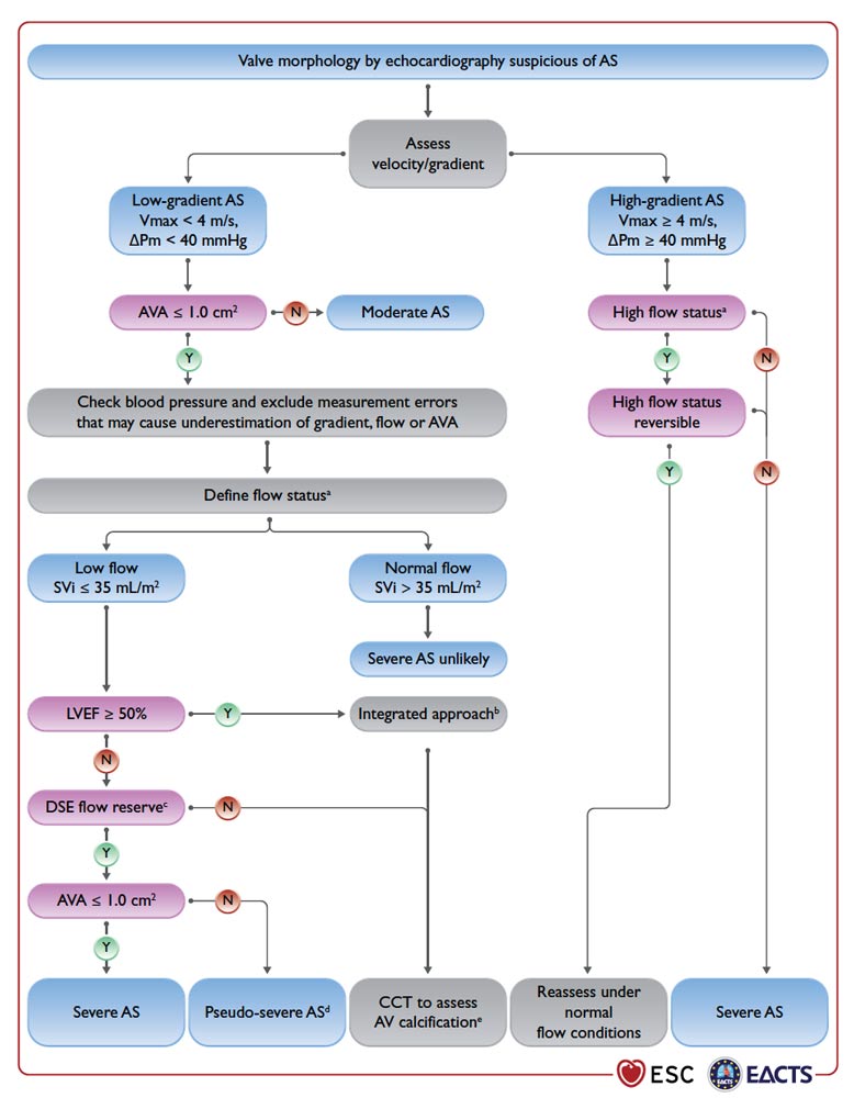 Figure 2 : les différentes situations échocardiographiques 