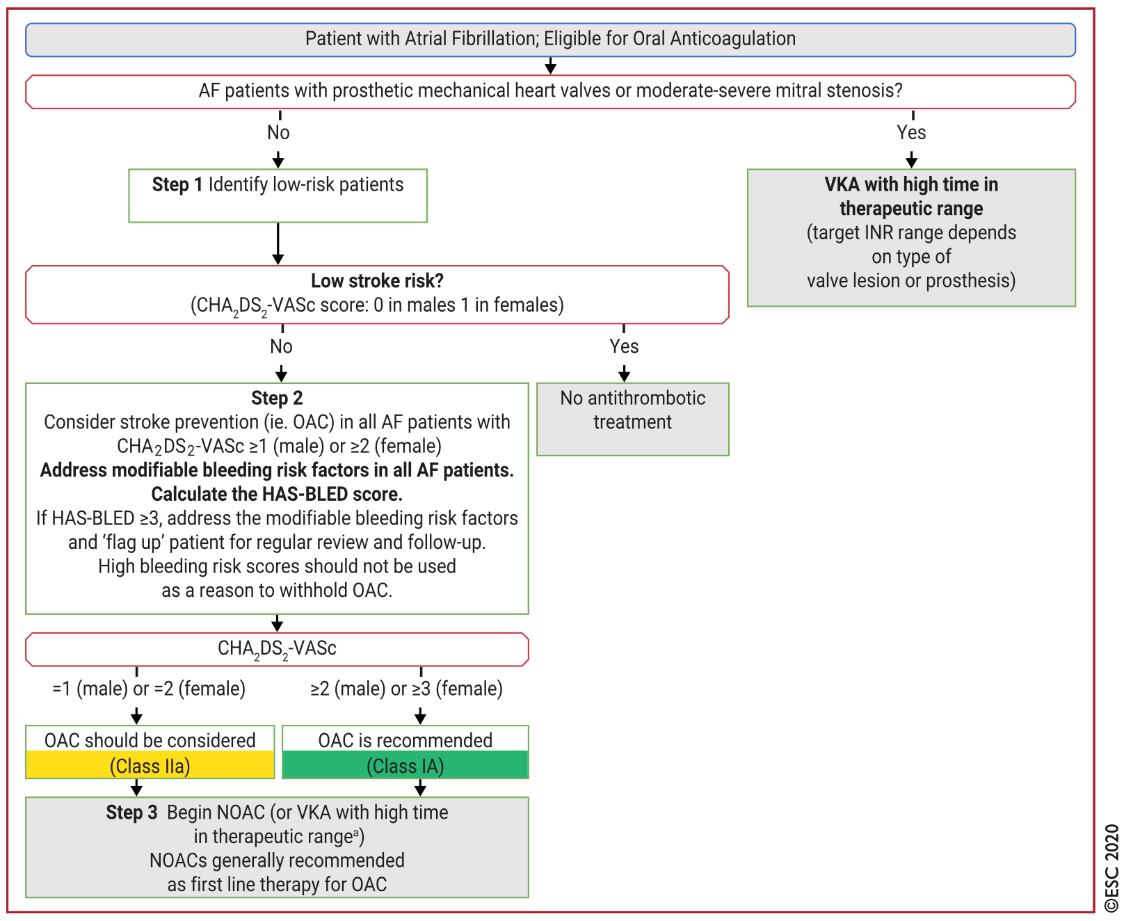 Anticoagulation/Avoid stroke