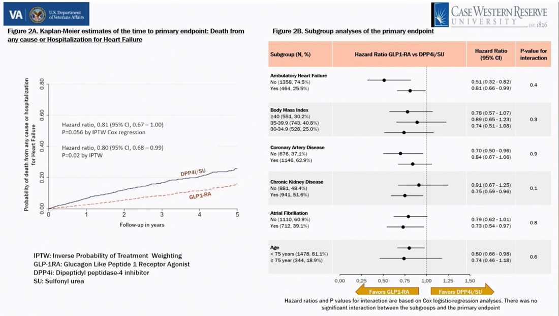 Subgroup analyses of the primary endpoint