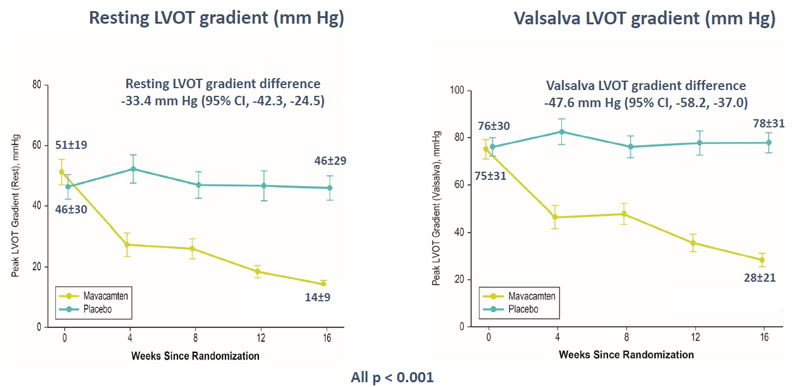 Effets mavacamten vs-placebo sur gradients de repos port valsalva figure 2