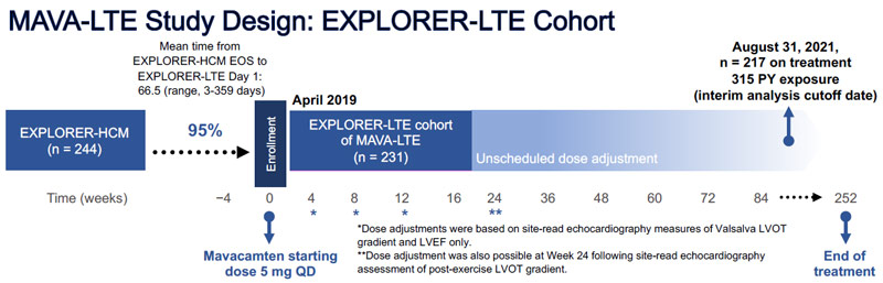 Design de MAVA-LTE