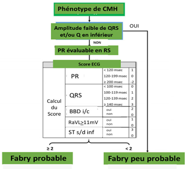 Figure : calcul du score ECG de probabilité de maladie de Fabry