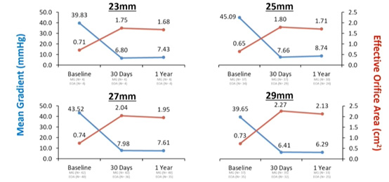 Figure 3 : gradient moyen transvalvulaire aortique et surface effective de l’orifice aortique à 1 mois puis à 1 an pour les quatre tailles de valve NAVITORTM