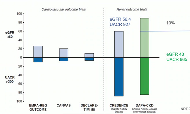 Figure 2 : proportions de patients avec DFG<60 ml/mn/1.73m² et almubinurie > 300 mg/g dans les études avec inhibiteurs SGLT2