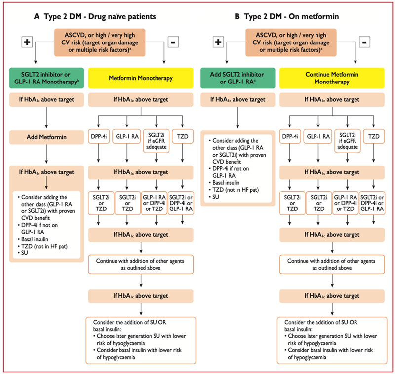 Figure 3. Algorithme thérapeutique des patients diabétiques de type 2 et maladie athéromateuse ou haut/très haut risque cardiovasculaire.