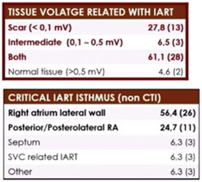 Rôle de l’imagerie dans l’ablation des cardiopathies congénitales