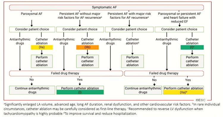 Les indications d’ablation de FA 