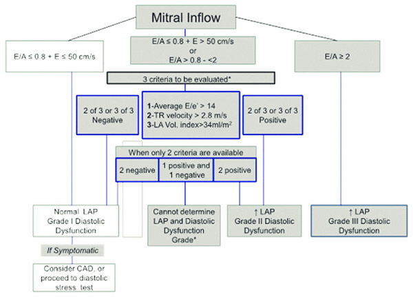 Étude NEDA : figure 2