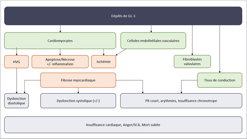 Symptomes cardiovasculaires de la maladie de Fabry