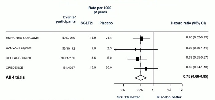 Figure 6 : inhibition SGLT2 chez le diabètique et risque d’insuffisance rénale aigue versus placebo