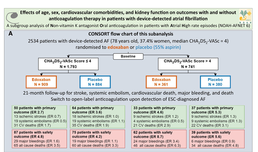 FA infraclinique et anticoagulation – impact des comorbidités l’étude NOAH-AFNET 6 - Figure1