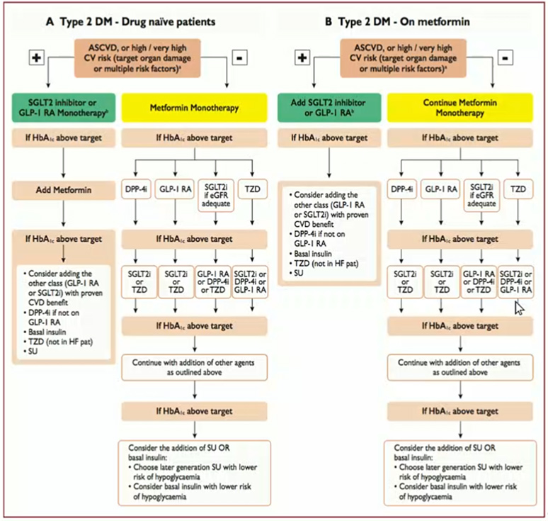 Figure 2 : recommandations de l’ESC-EASD de 2019  sur la prise en charge du diabète 