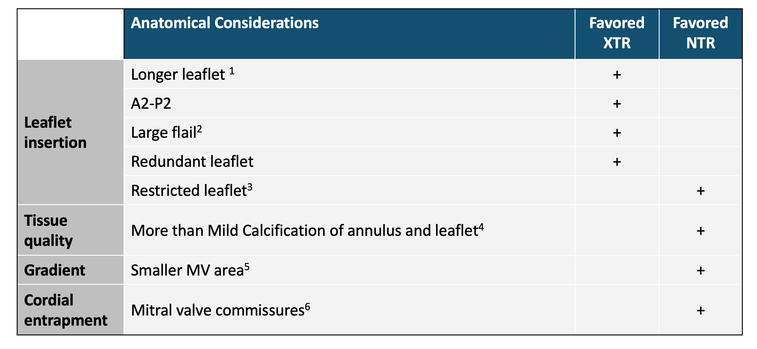 Considérations anatomiques 