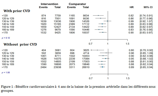 Figure 1 : bénéfice cardiovasculaire à 4 ans de la baisse de la pression artérielle dans les différents sous-groupes