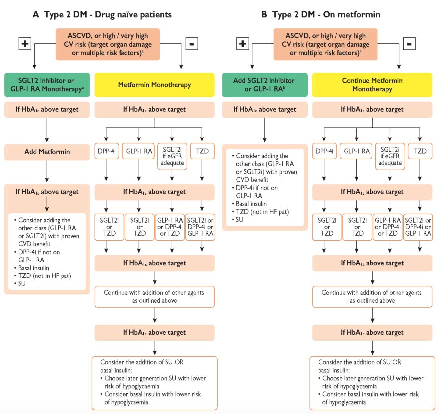 Guidelines Diabete 4