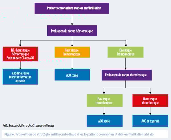 Figure 3. Proposition d’algorithme chez le patient coronarien stable en FA ou passant en FA.