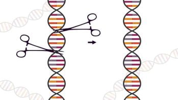 Un essai clinique d'édition du génome en préparation pour corriger l'hypercholestérolémie familiale