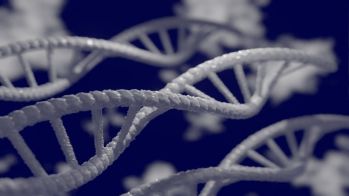 Une nouvelle compréhension des bases génétiques de l'IC