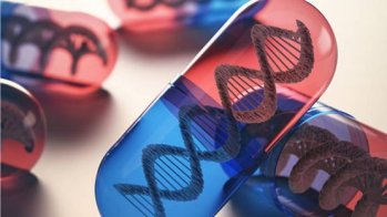 Effet majeur d'un inhibiteur du SGLT2 en prévention de l'insuffisance cardiaque en cas de risque génétique de cardiomyopathie