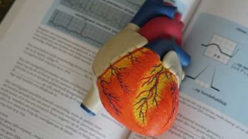 Lancement prochain d'une étude sur une nouvelle technique plus sûre et plus rapide d'ablation de la fibrillation atriale