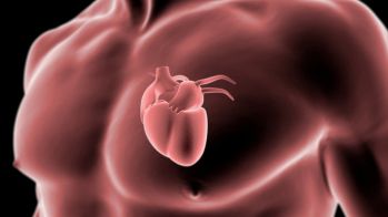 Chirurgie de la valve mitrale : la mini-thoracotomie aussi sûre et efficace que la sternotomie conventionnelle