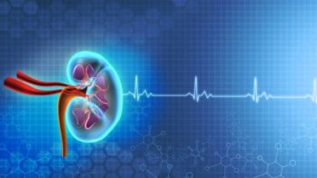 Moins d'atteintes rénales mais plus de décès avec le TAVI qu'avec la chirurgie en cas de syndrome cardiorénal