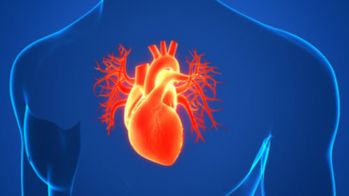 Pour que les cardiomyopathies hypertrophiques n'aient plus aucun secret pour vous !