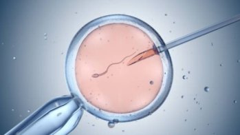 La FIV associée à un risque accru d'hypospadias et de cardiopathie congénitale concomitants