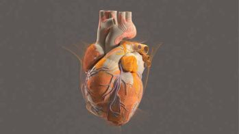 La calcification extracoronaire associée à un risque accru d'insuffisance cardiaque à fraction d'éjection préservée