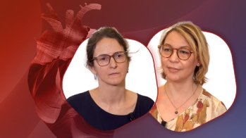 Amylose cardiaque à transthyrétine de la femme : ce que le cardiologue doit savoir