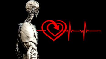Demain : innovations et perspectives futures de l’intelligence artificielle appliquée à l’échocardiographie