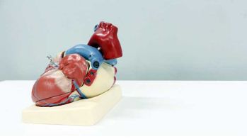 La Société française de cardiologie appelle à la création d'une filière de soins dédiée à l'insuffisance cardiaque
