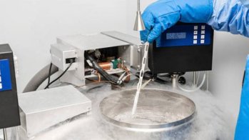 Transfert d'embryons congelés  pas de différence sur les troubles hypertensifs de la grossesse entre cycles naturel et substitué