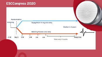 ESC Congress 2020 : DAPA CKD