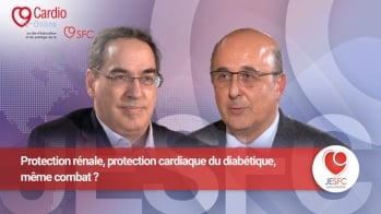 Protection rénale, protection cardiaque du diabétique : même combat ?