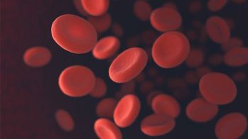 Gestion des anticoagulants en pratique