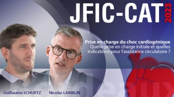 Prise en charge du choc cardiogénique : quelle prise en charge initiale et quelles indications pour l'assistance circulatoire ?