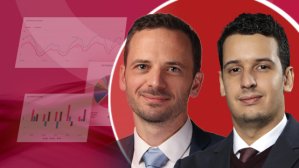 Adoption de l’intelligence artificielle en cardiologie en France : résultats de l’enquête multiprofessionnelle INSIGHT-AI