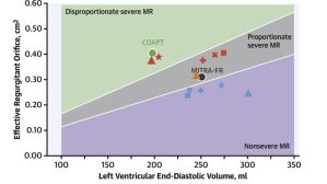 Impact of Mitral Regurgitation Severity and Left Ventricular Remodeling on Outcome After Mitraclip Implantation