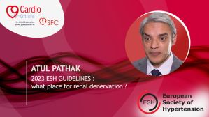 What place for renal denervation in the 2023 guidelines of the European Society of Hypertension?