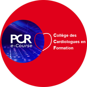 CCF @ PCR e-Course 2020