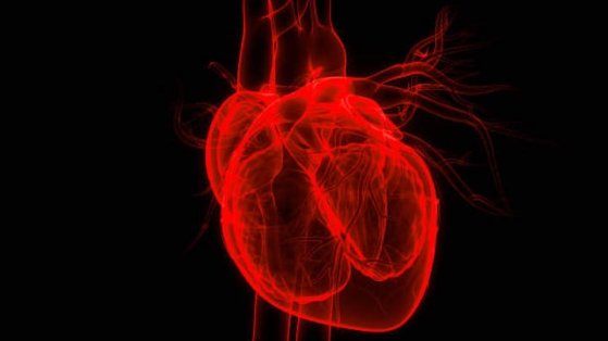 La calcification de la valve aortique est aussi un bon marqueur de risque dans la sténose aortique à bas débit