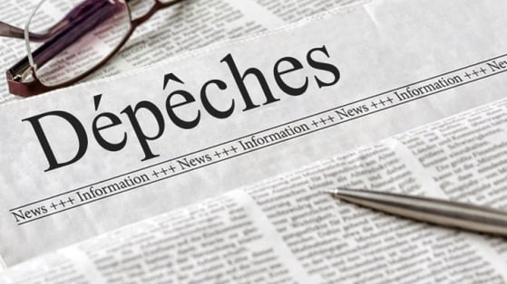Dépêche de journal : le cholestérol