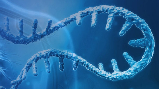 Comment fonctionnent les thérapies basées sur l’ARN interférence ?