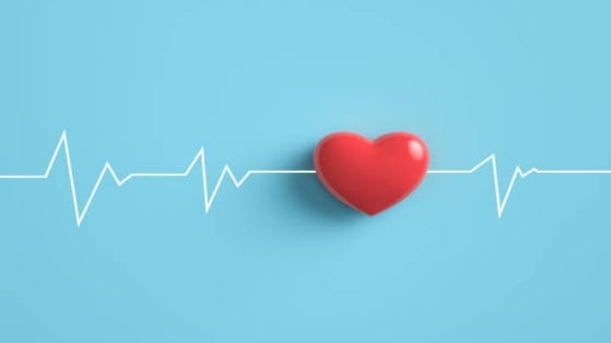 Fibrillation atriale et mortalité: les formes non paroxystiques associées au plus grand risque
