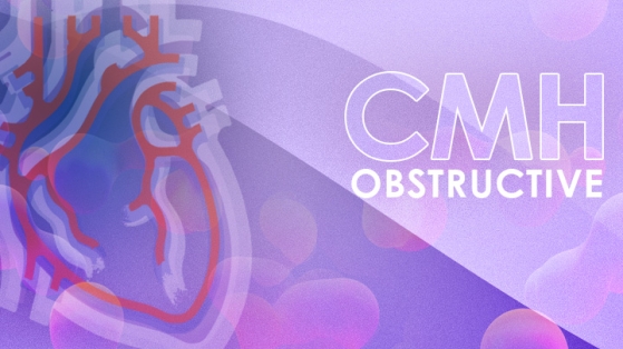 CMH - Une approche fonctionnelle est-elle possible en IRM cardiaque ?