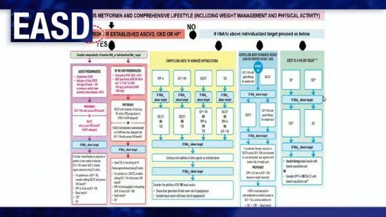 Recommandations et perspectives dans la prise en charge du diabète de type 2 à l'ère des inhibiteurs SGLT2 et des agonistes GLP1
